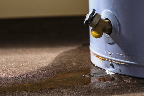 Best Flood damage cleanup  in Greenville, VA
