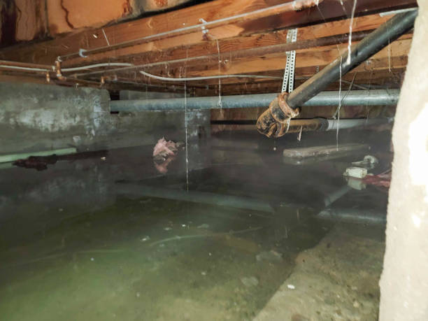 , VA Water damage restoration Company