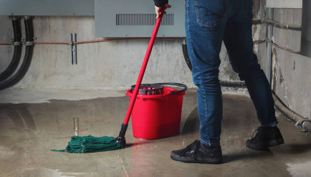 Best Water damage contractors near me  in Greenville, VA