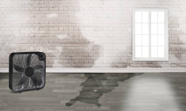 Water damage restoration insurance claims in VA