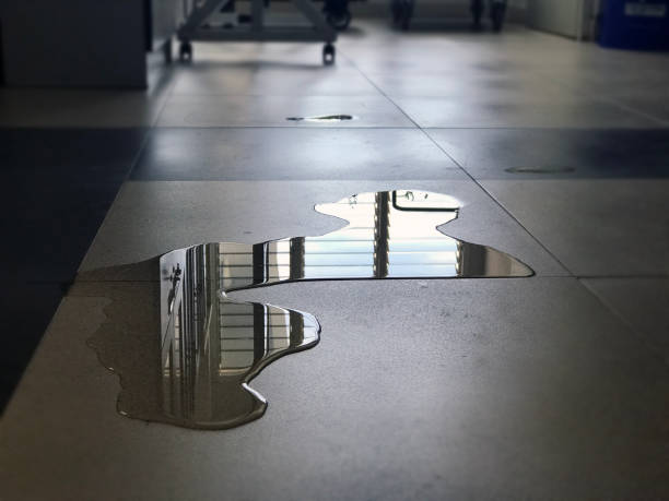 Best Water damage contractors near me  in Greenville, VA