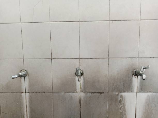 Best Flood restoration services  in Greenville, VA