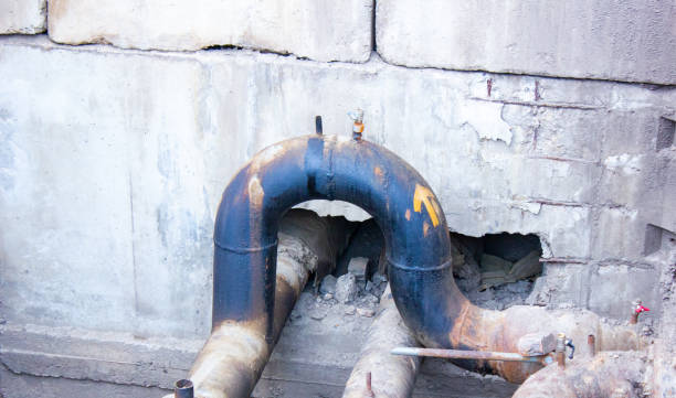 Best Water damage cleanup near me  in Greenville, VA
