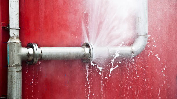 Best 24-hour water damage restoration  in Greenville, VA
